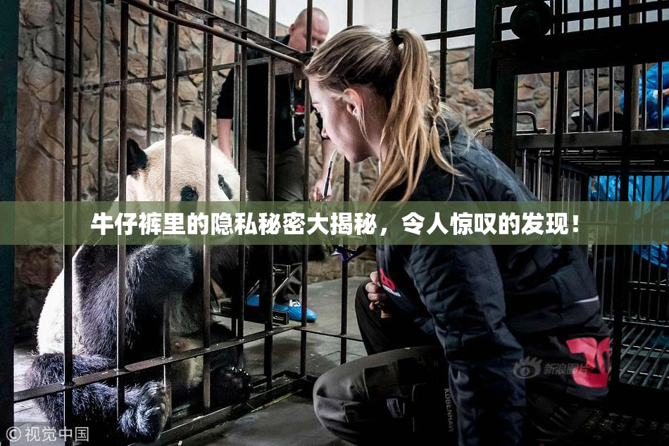 牛仔裤里的隐私秘密大揭秘，令人惊叹的发现！