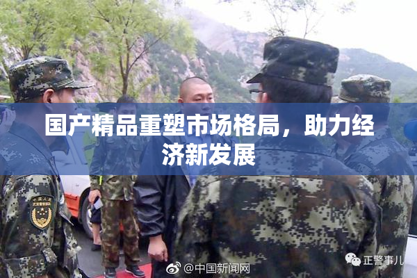 国产精品重塑市场格局，助力经济新发展