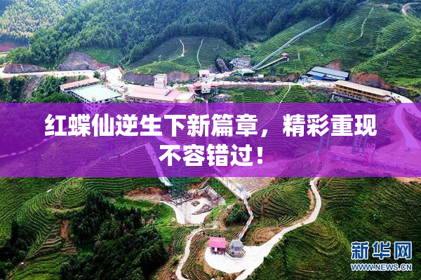 红蝶仙逆生下新篇章，精彩重现不容错过！