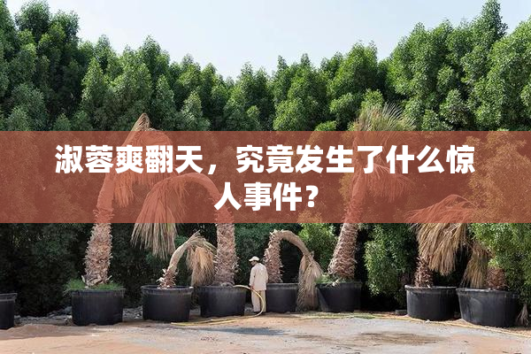 淑蓉爽翻天，究竟发生了什么惊人事件？