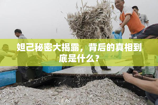 妲己秘密大揭露，背后的真相到底是什么？