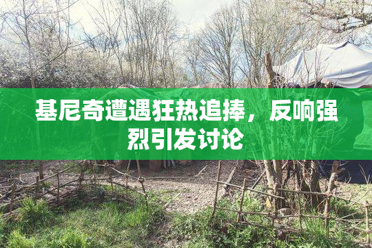 基尼奇遭遇狂热追捧，反响强烈引发讨论