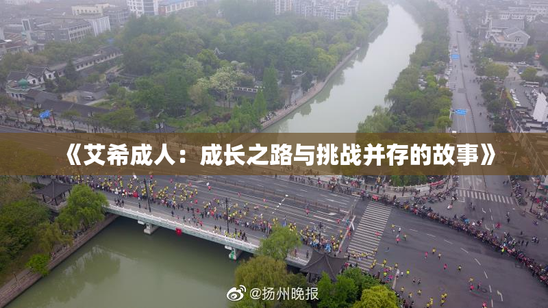 《艾希成人：成长之路与挑战并存的故事》