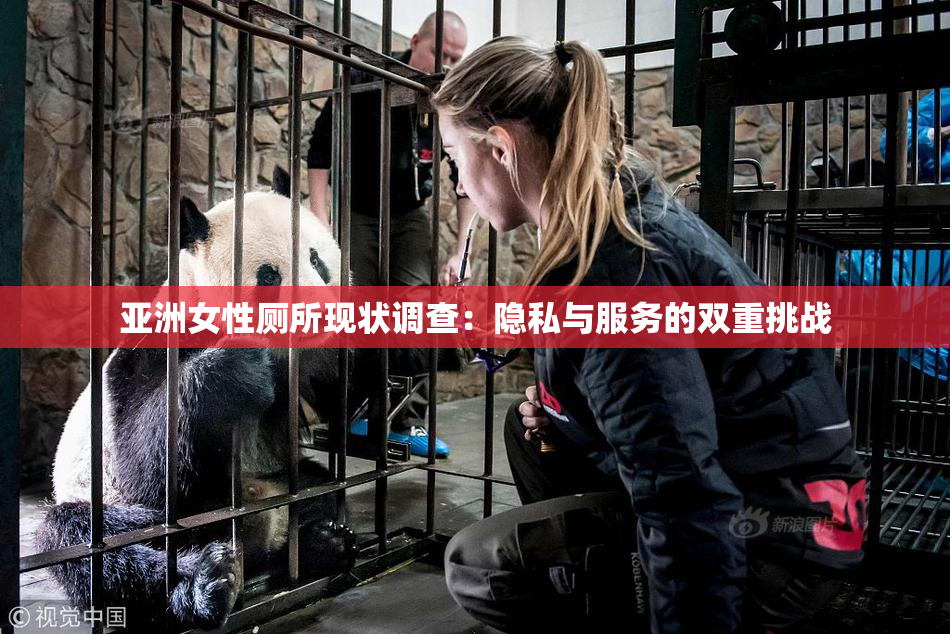 亚洲女性厕所现状调查：隐私与服务的双重挑战