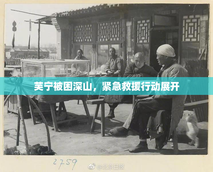 芙宁被困深山，紧急救援行动展开