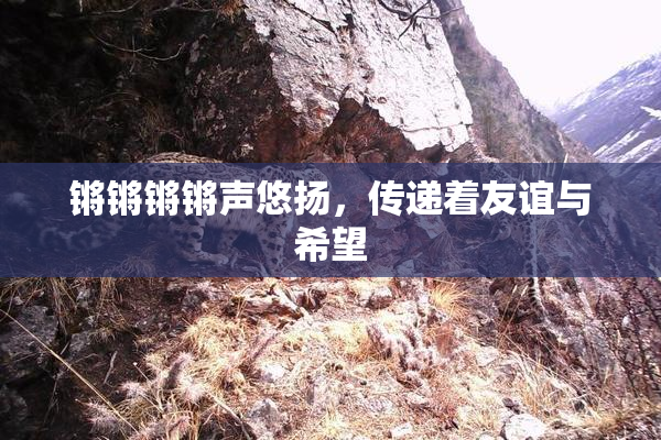 锵锵锵锵声悠扬，传递着友谊与希望