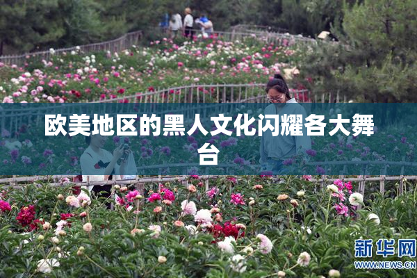 欧美地区的黑人文化闪耀各大舞台