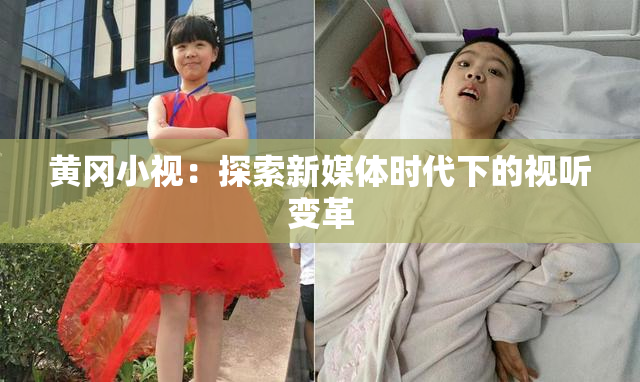 黄冈小视：探索新媒体时代下的视听变革