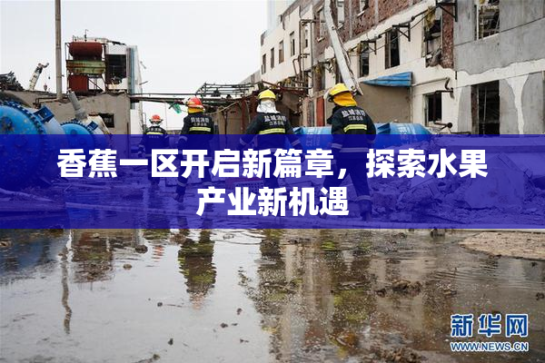 香蕉一区开启新篇章，探索水果产业新机遇