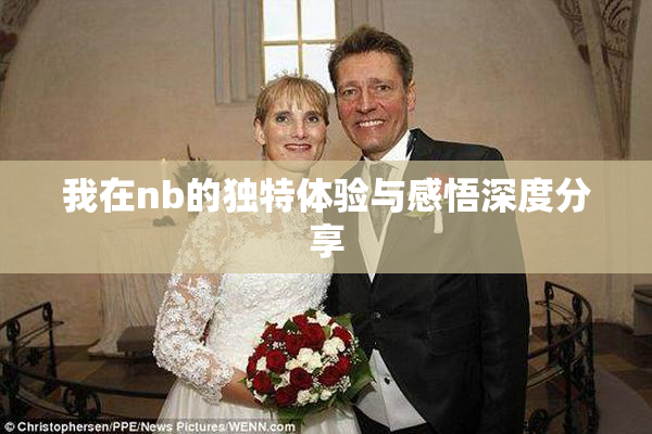 我在nb的独特体验与感悟深度分享