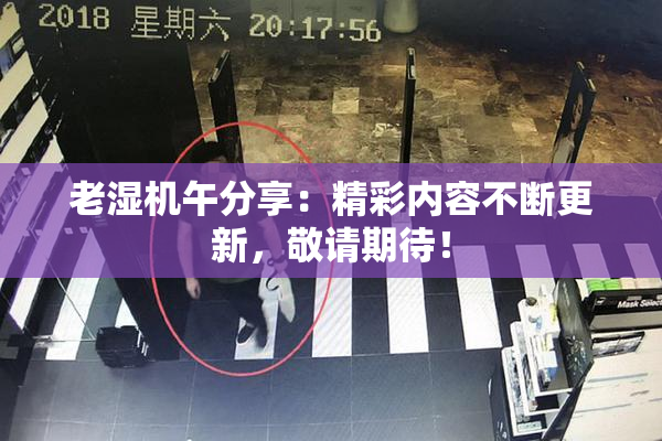 老湿机午分享：精彩内容不断更新，敬请期待！