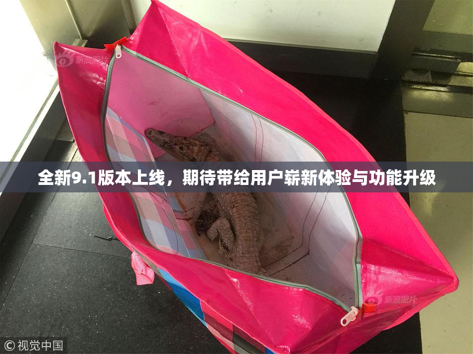 全新9.1版本上线，期待带给用户崭新体验与功能升级