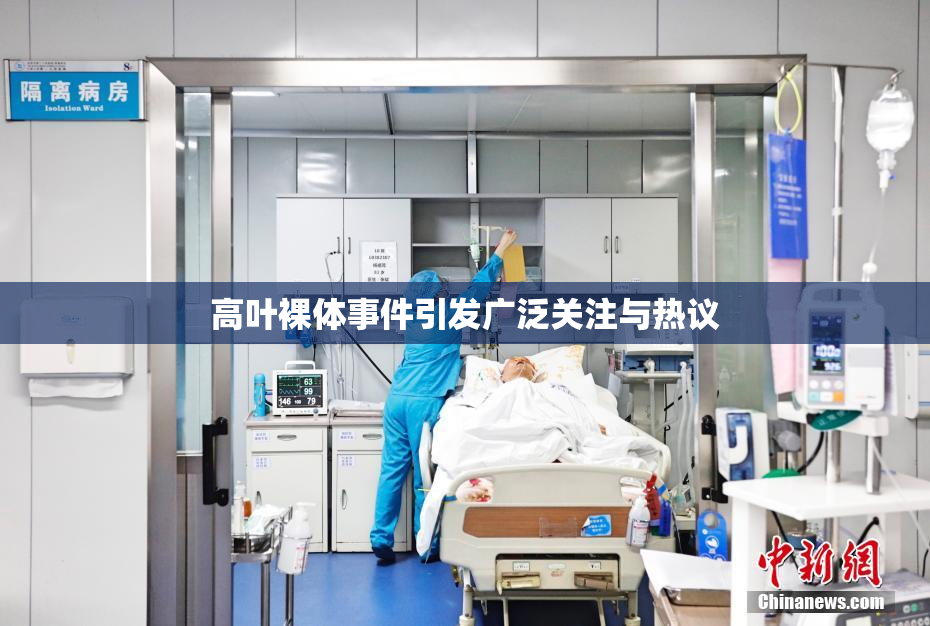 高叶裸体事件引发广泛关注与热议