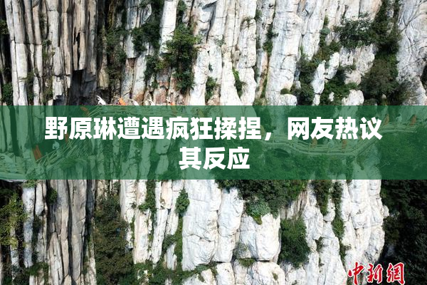 野原琳遭遇疯狂揉捏，网友热议其反应