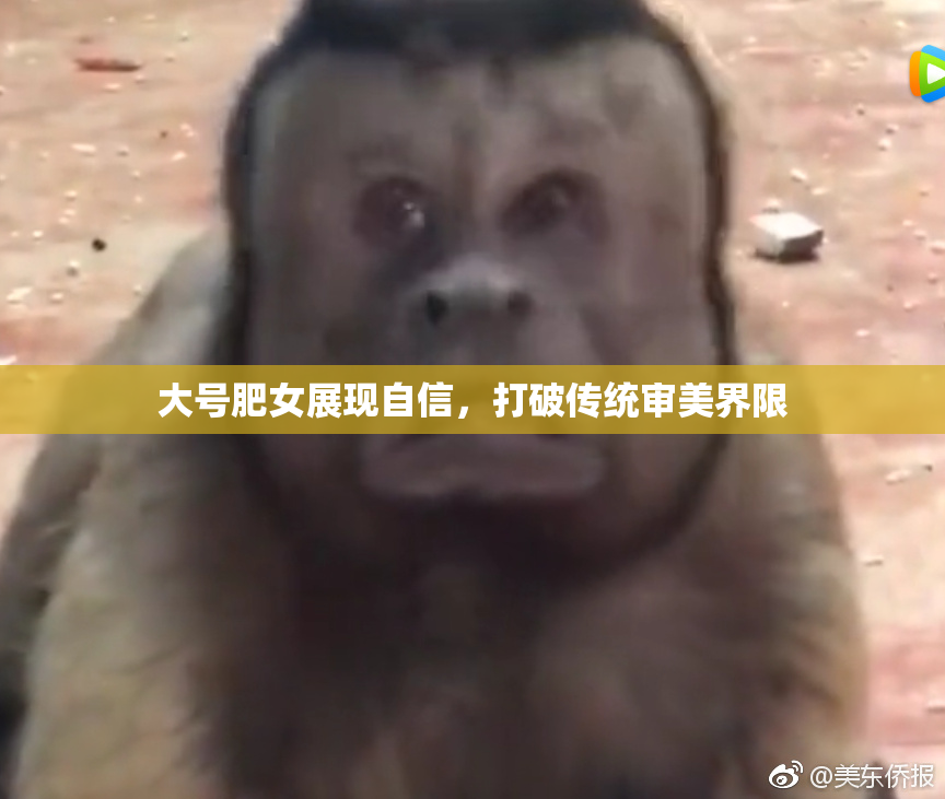 大号肥女展现自信，打破传统审美界限