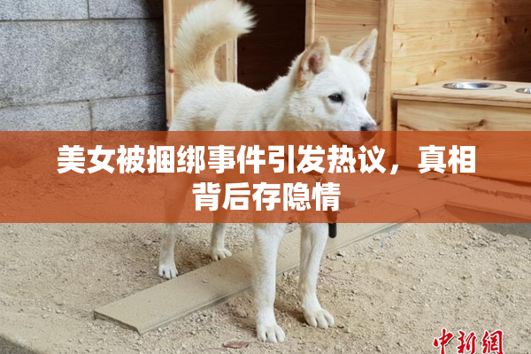 美女被捆绑事件引发热议，真相背后存隐情