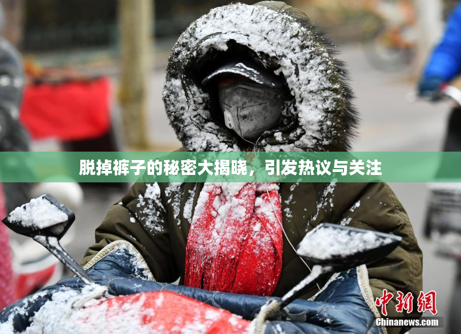 脱掉裤子的秘密大揭晓，引发热议与关注
