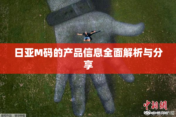 日亚M码的产品信息全面解析与分享
