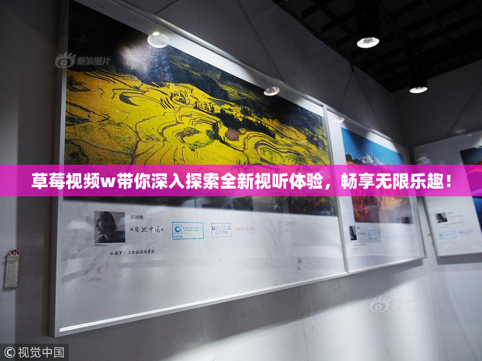 草莓视频w带你深入探索全新视听体验，畅享无限乐趣！