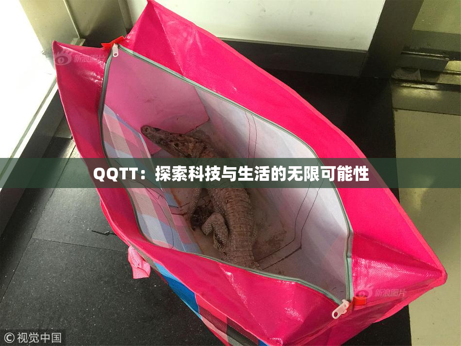 QQTT：探索科技与生活的无限可能性
