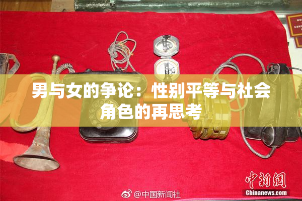 男与女的争论：性别平等与社会角色的再思考