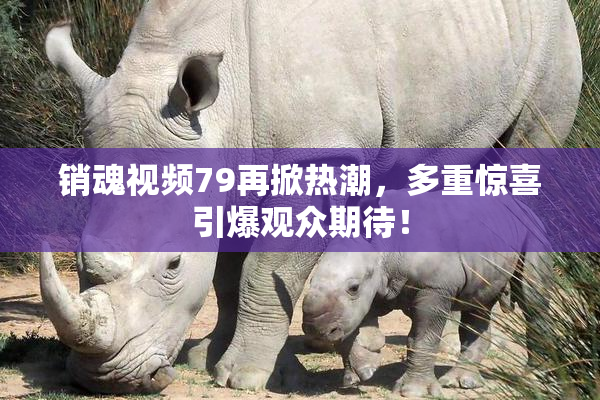 销魂视频79再掀热潮，多重惊喜引爆观众期待！