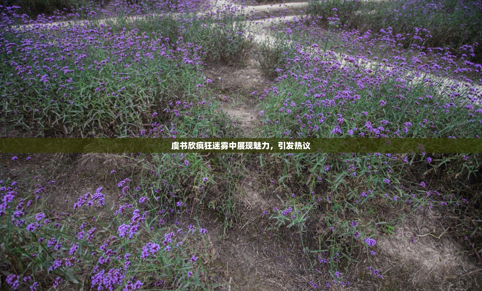 虞书欣疯狂迷雾中展现魅力，引发热议