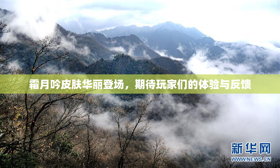 霜月吟皮肤华丽登场，期待玩家们的体验与反馈