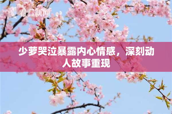少萝哭泣暴露内心情感，深刻动人故事重现