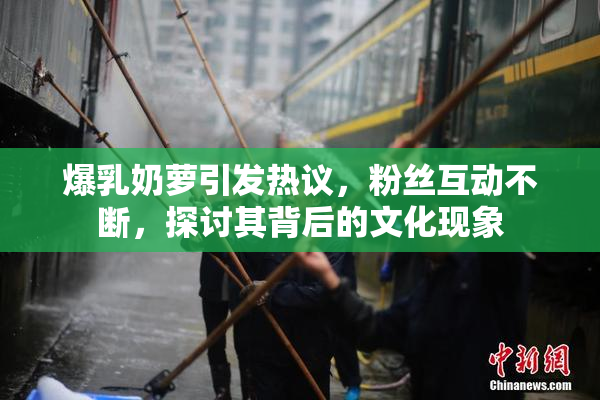 爆乳奶萝引发热议，粉丝互动不断，探讨其背后的文化现象