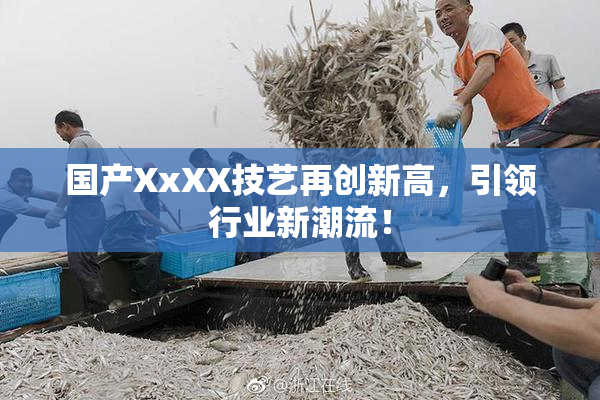 国产XxXX技艺再创新高，引领行业新潮流！