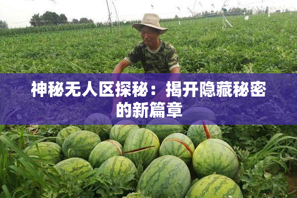 神秘无人区探秘：揭开隐藏秘密的新篇章