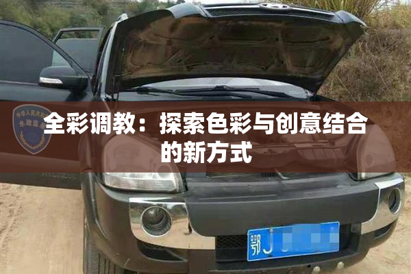 全彩调教：探索色彩与创意结合的新方式