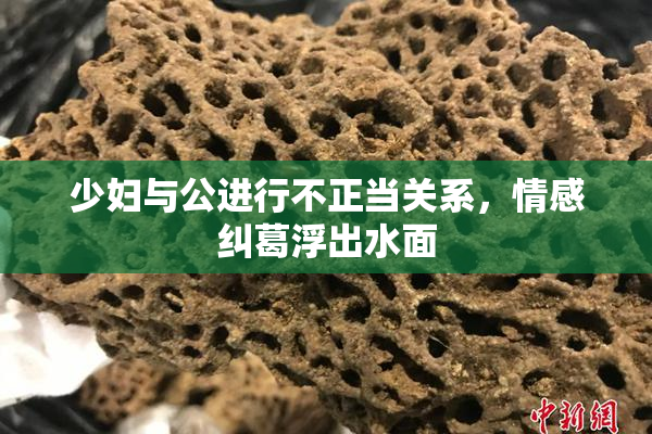 少妇与公进行不正当关系，情感纠葛浮出水面