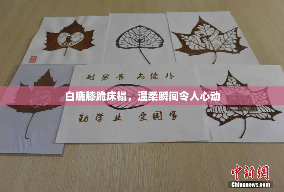 白鹿膝跪床榻，温柔瞬间令人心动
