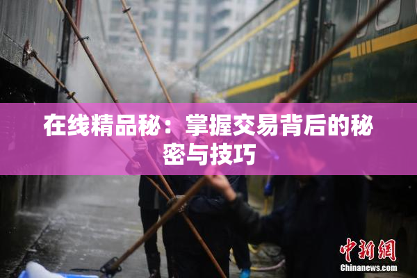 在线精品秘：掌握交易背后的秘密与技巧