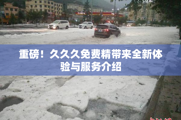 重磅！久久久免费精带来全新体验与服务介绍
