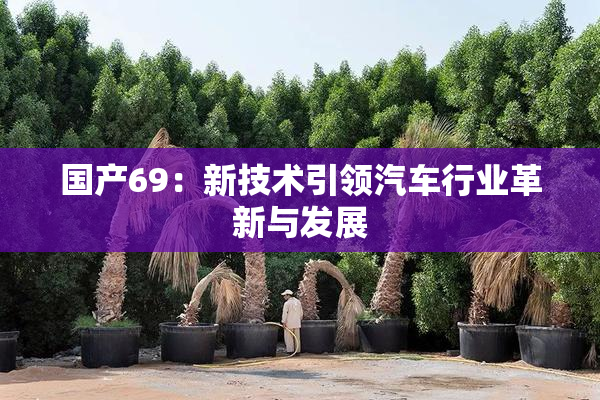 国产69：新技术引领汽车行业革新与发展