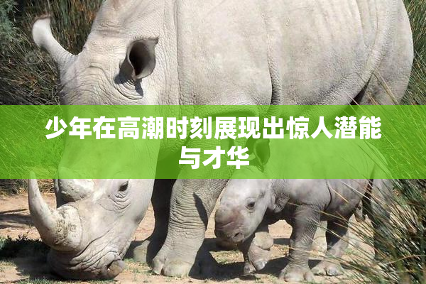少年在高潮时刻展现出惊人潜能与才华