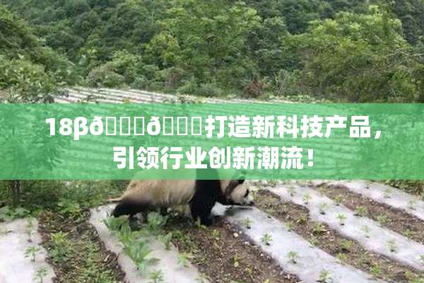 18β🍆🍑打造新科技产品，引领行业创新潮流！
