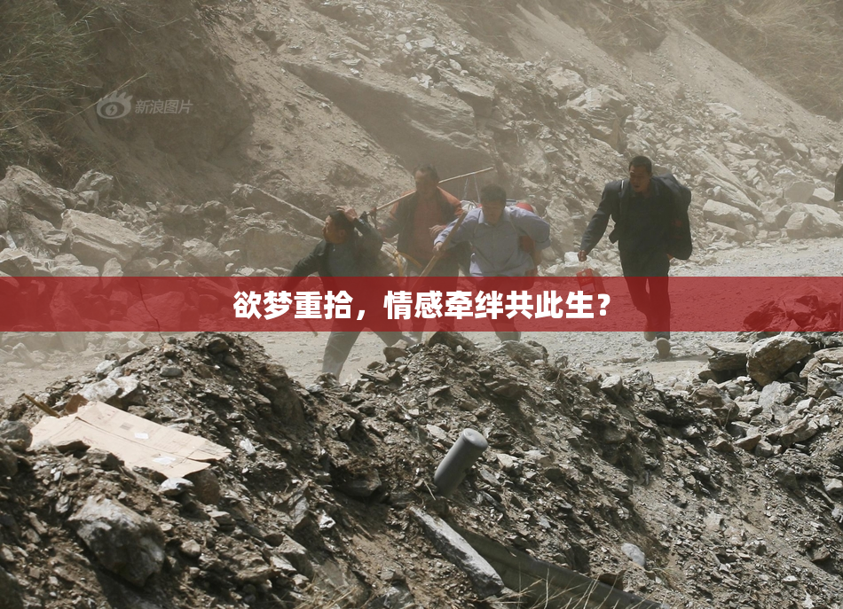 欲梦重拾，情感牵绊共此生？