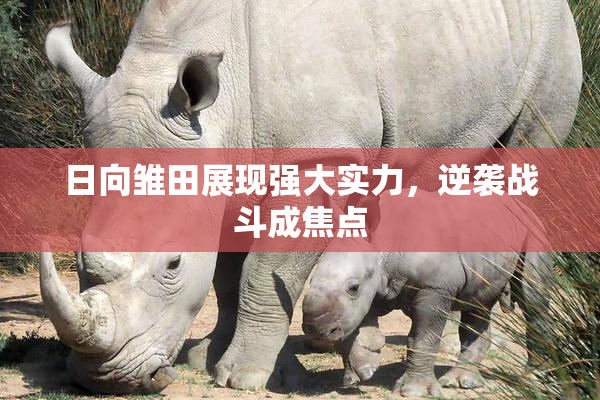 日向雏田展现强大实力，逆袭战斗成焦点