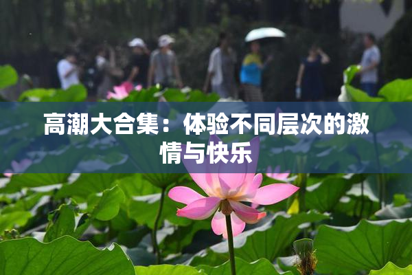 高潮大合集：体验不同层次的激情与快乐