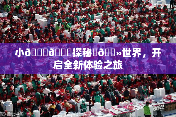 小🐔🐔探秘‌🐻世界，开启全新体验之旅