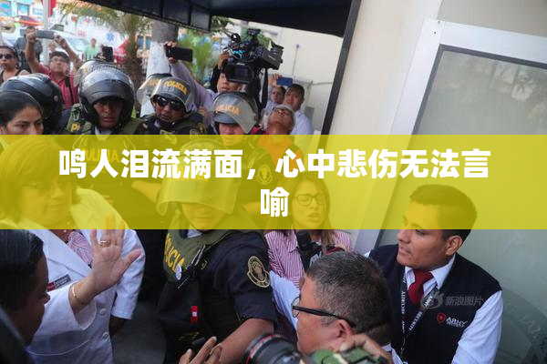 鸣人泪流满面，心中悲伤无法言喻