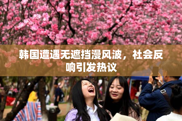 韩国遭遇无遮挡漫风波，社会反响引发热议
