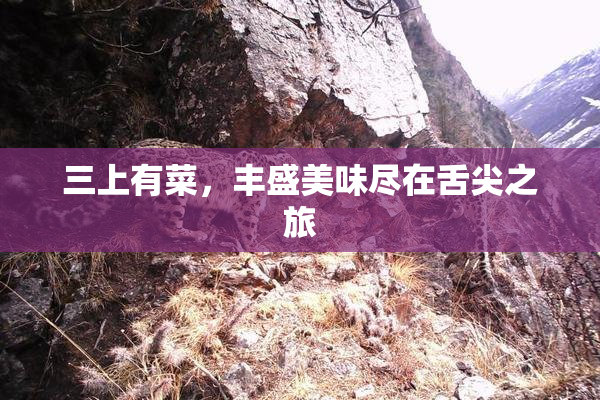 三上有菜，丰盛美味尽在舌尖之旅