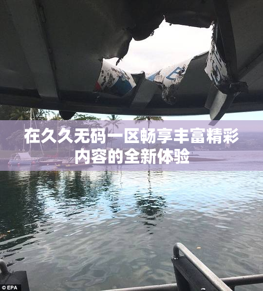 在久久无码一区畅享丰富精彩内容的全新体验