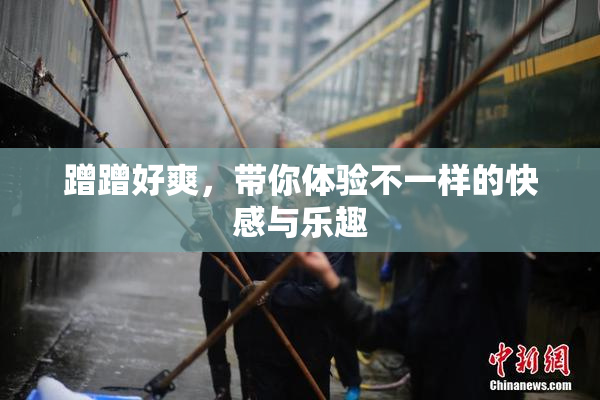 蹭蹭好爽，带你体验不一样的快感与乐趣