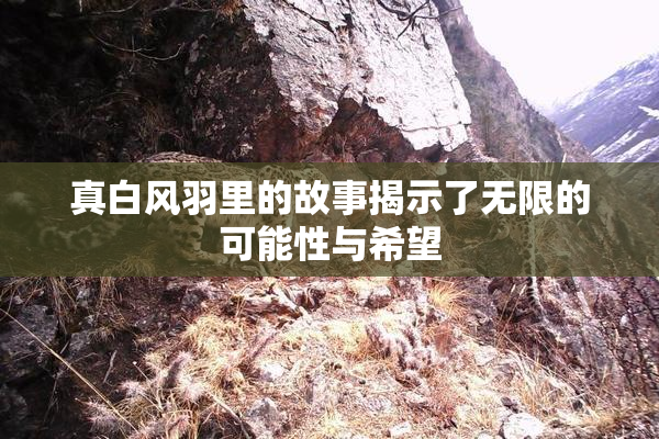 真白风羽里的故事揭示了无限的可能性与希望